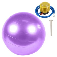디어모모 홈트 홈짐 필라테스 요가 짐볼, 퍼플