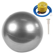 디어모모 홈트 홈짐 필라테스 요가 짐볼, 그레이