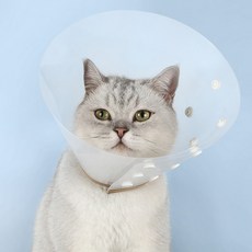 JEJEPET 簡約金環寵物狗頸部保護套, 1個