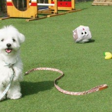 다솜 반려견 팔레트 플라워 리드줄, 핑크, 1개