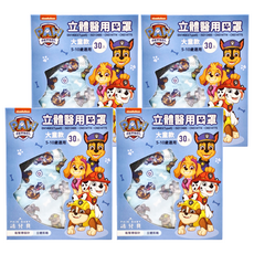 FAIR BABY 法兒貝 3D立體醫療防護口罩 好日子, 汪汪隊立大功, 30片, 4盒