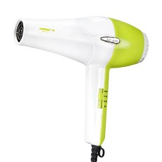 zushiang 日象 菁采3段恆溫吹風機 900W 110V, ZOD-560, White + Green