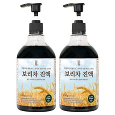 더해담 저당 보리차 진액, 870g, 2개