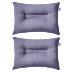 아임리빙 C자형 고밀도 워싱 빨아쓰는 수면베개, 차콜, 2개