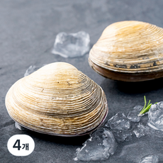 바다자리 국산 생물 개조개 (냉장), 300g, 4개