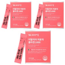 Vitamin Village 義大利小分子膠原蛋白1000粉隨身包 30條入, 30g, 3盒