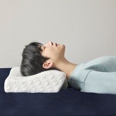 PROTECT-A-BED Allerseal 天絲3D護頸防水記憶枕, 1個, 白色