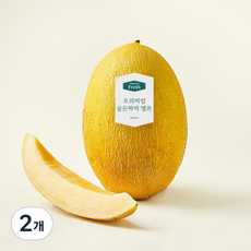 온브릭스 프리미엄 골든하미 멜론, 2개, 1.3kg