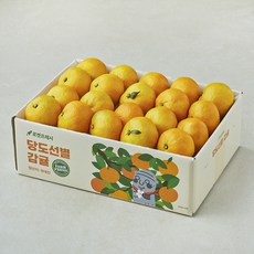 당도선별 감귤 (대과), 1박스, 2kg