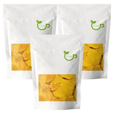 그린팟 건조 망고 슬라이스, 200g, 3개