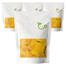 그린팟 건조 망고 슬라이스, 200g, 4개