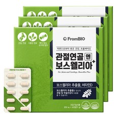 프롬바이오 관절연골엔 보스웰리아 플러스 51g, 60정, 3개