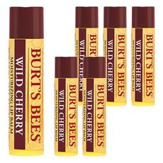 버츠비 모이스춰라이징 립밤, 와일드 체리, 4.25g, 6개