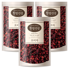 한방선생 문경 오미자 건오미자, 3개, 100g