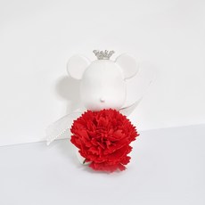 La Vida 新康乃馨小熊石膏擴香裝飾品 紅色 + 石膏擴香補充油 3ml, 潔淨棉