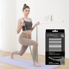 세라밴드 오리지널 6단계 + 운동포스터, 실버, 1개