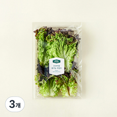 프리미엄 유기농 적상추, 120g, 3개