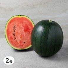 모두유통한반도 까망 애플수박, 1kg 미만, 2개