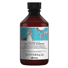 다비네스 내추럴텍 웰빙 샴푸, 250ml, 1개