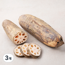 밀양 연근(햇), 500g, 3개
