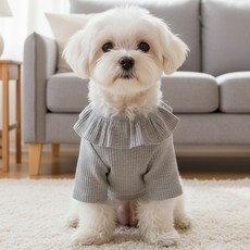 Petit Dog 狗蜥蜴茶 DT067, 灰色