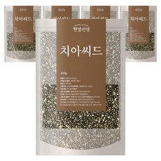 한방선생 치아씨드, 400g, 5개