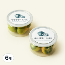 바로먹는 대저 짭짤이 토마토, 6개, 150g