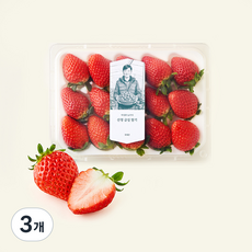 허성환 농부의 산청 금실 딸기, 3개, 380g