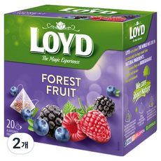 LOYD 포레스트 프룻 인퓨전 티백, 2g, 2개, 20개입