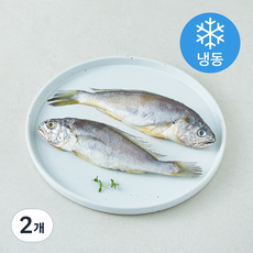 다미원 영광 법성포 참굴비 2미 (냉동), 2개, 160g