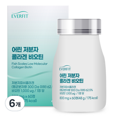 내츄럴플러스 에버핏 300달톤 어린 저분자 콜라겐 비오틴 48g, 6개, 60정