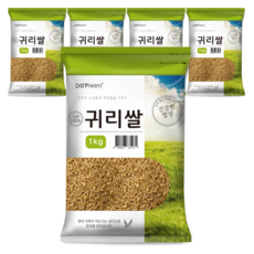 건강한밥상 국산 귀리쌀, 1kg, 5개