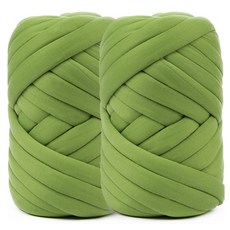 브랜드얀 패브릭 자이언트얀 약 1kg 2롤, 21번 그린올리브, 2개