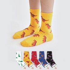 GGRN 兒童恐龍圖案襪子5雙組