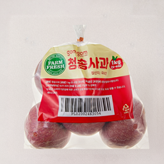 곰곰 청송사과, 1kg(소과), 1개
