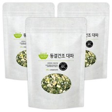 바로한끼 동결건조 대파, 100g, 3개
