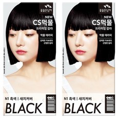 꽃을든남자 뉴 씨에스 먹물 프리미엄 헤어 칼라크림 염모제, N1흑색, 2개