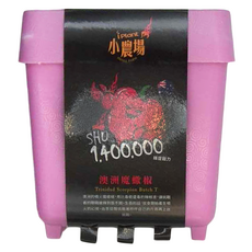 台灣 iPlant 積木農場盆栽, 澳洲魔蠍椒