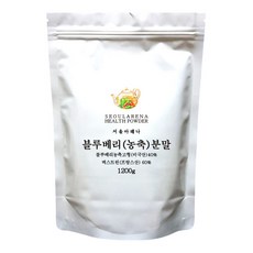 서울아레나 블루베리 농축 분말, 1.2kg, 1개