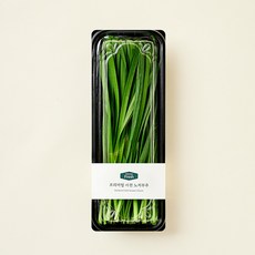 프리미엄 사천 노지부추, 200g, 1개