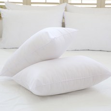 I'm Living Cloud 拉鍊枕棉 2p, 白色, 2個