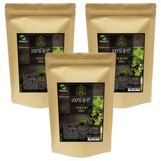 해밀생활건강 100일동안 어성초차, 1.2g, 100개입, 3개