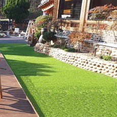 ONEGREEN 防焰人造草皮捲 EX2000 1m x 1m x 20mm, 1個