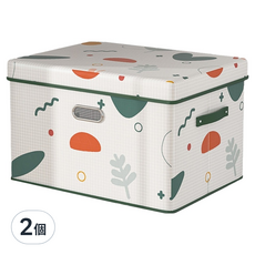 小麥購物 圖案掀蓋式收納箱 L2923, 2個, 幾何植物