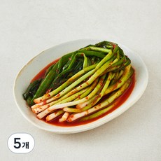 우리땅에놀던 전라도 파김치, 450g, 5개