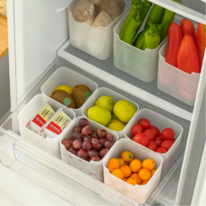 Slo& 浴室 冰箱 化妝台 廚房 多用途整理托盤, 10個, 半透明