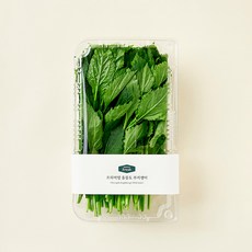 프리미엄 울릉도 부지깽이, 150g, 1개