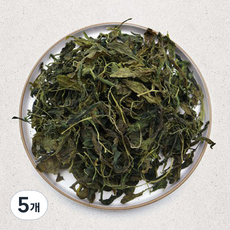 뭉글 건취나물, 100g, 5개