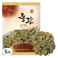 동광한방몰 국내산 삼백초, 300g, 5개