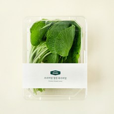 프리미엄 철원 와사비잎, 100g, 1개